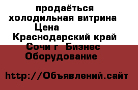 продаёться  холодильная витрина › Цена ­ 10 000 - Краснодарский край, Сочи г. Бизнес » Оборудование   